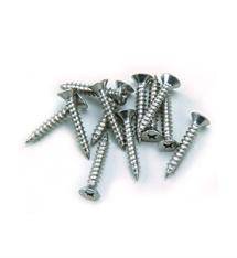 229 Spee-D Stainless Steel Screws Bag of 48