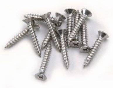 829 Stainless Steel Grate Screws 40 Pack