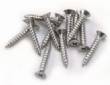 829 Stainless Steel Grate Screws 40 Pack